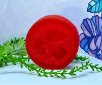 LOOFAH LOVE N' LATHER BODY SOAP