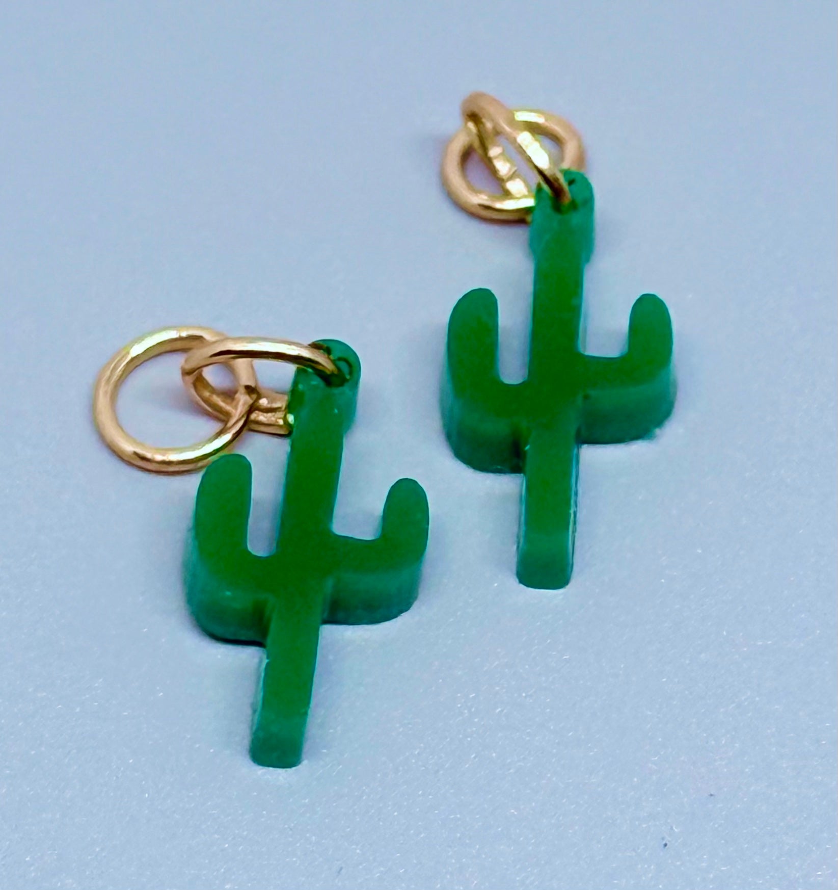 HOOP CHARMS